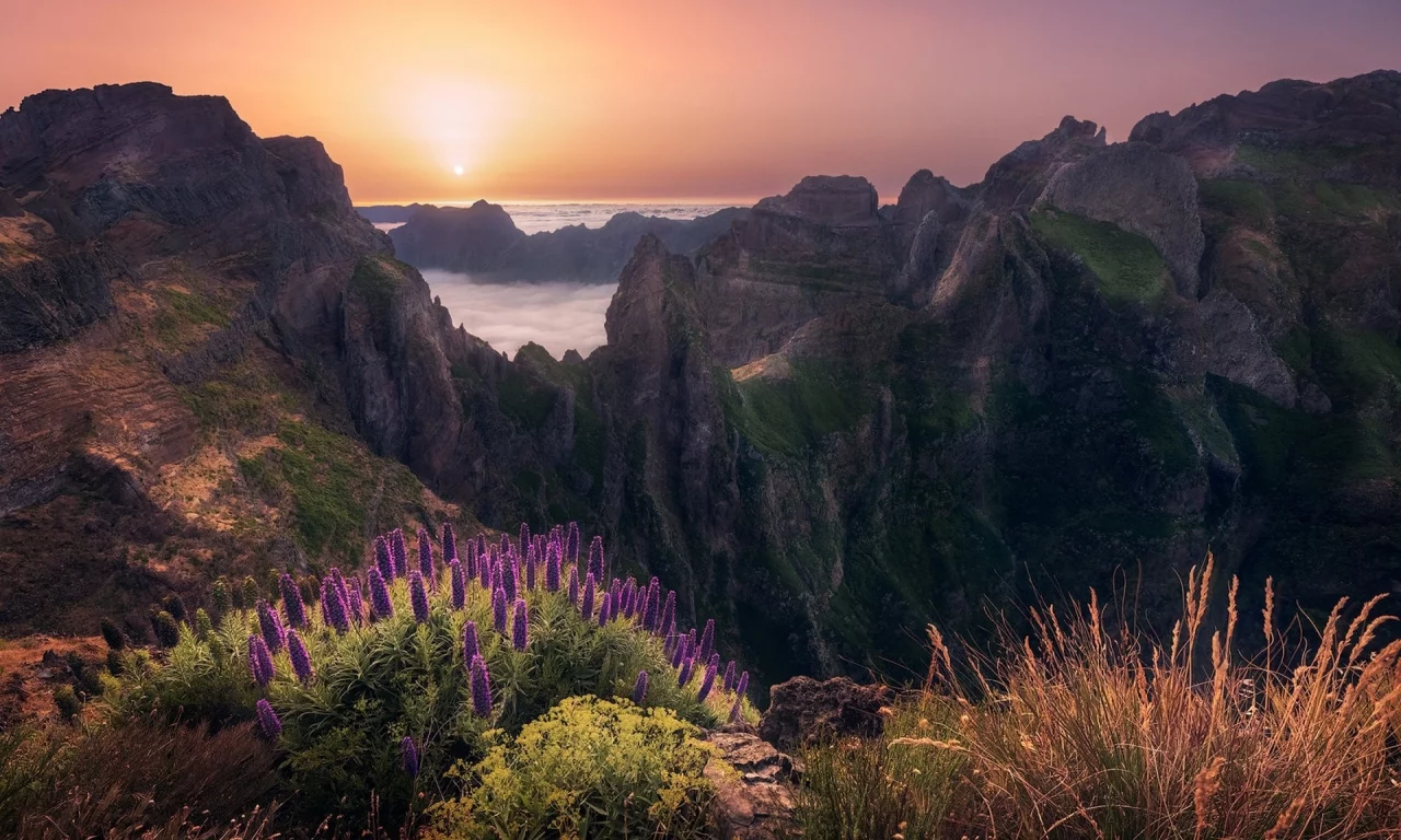 пейзаж, природа, красота