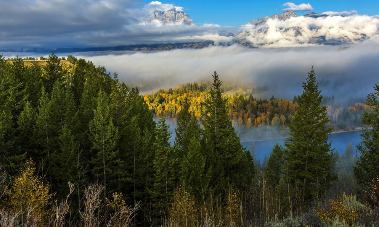 пейзаж, природа, красота