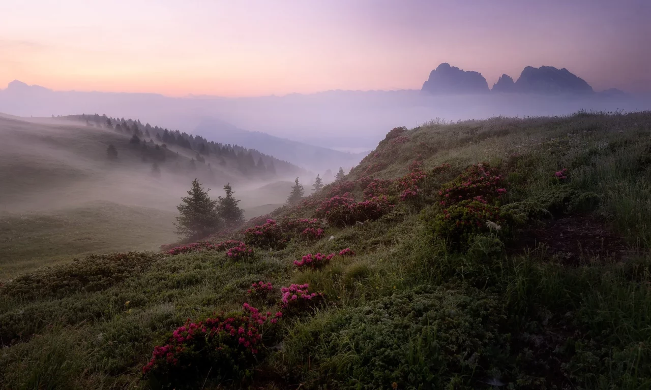 пейзаж, природа, красота