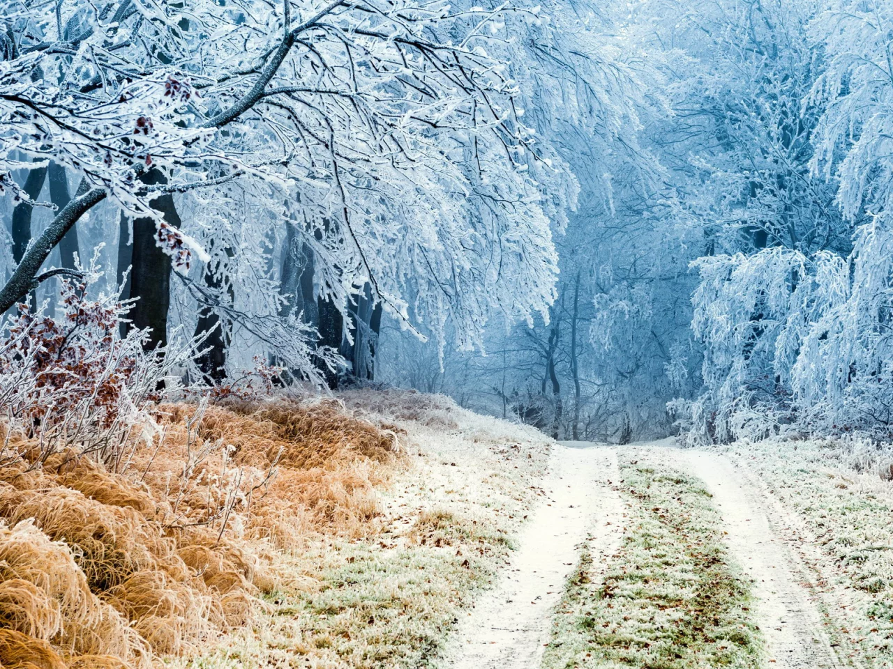 пейзаж, природа, красота