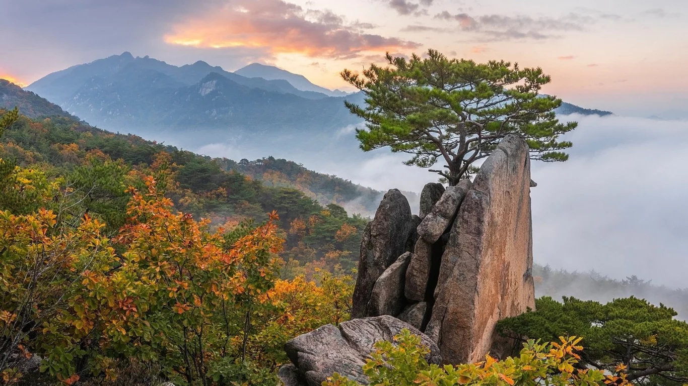 пейзаж, природа, красота