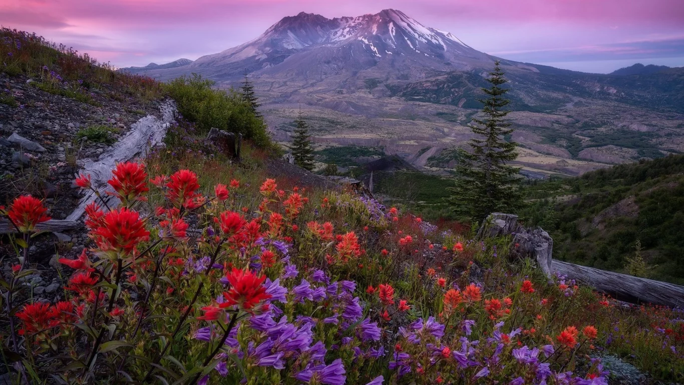 пейзаж, природа, красота