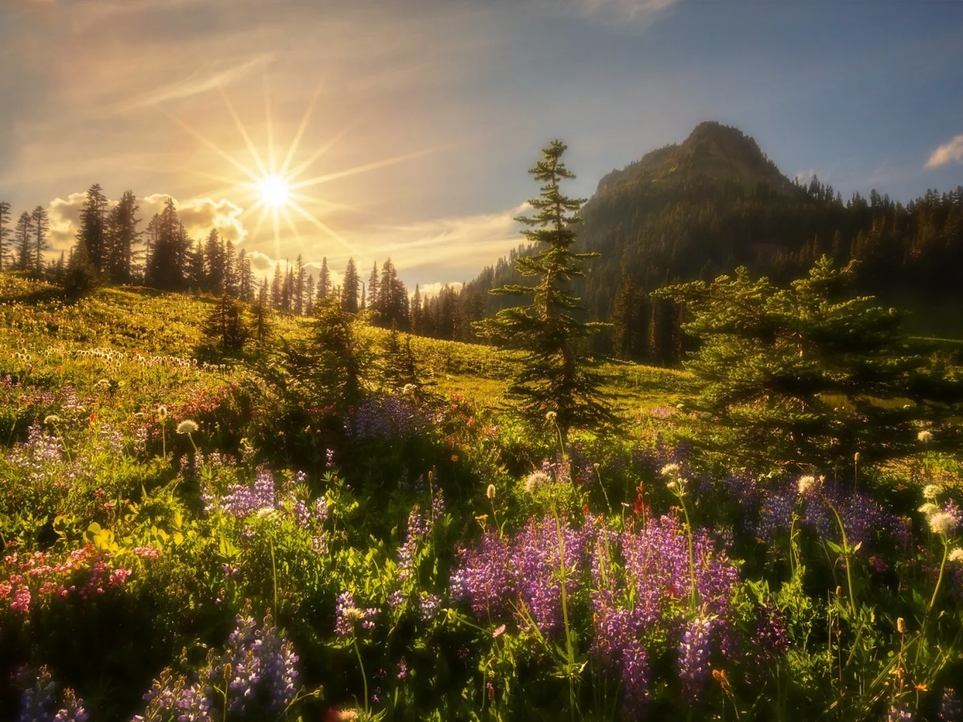 пейзаж, природа, красота