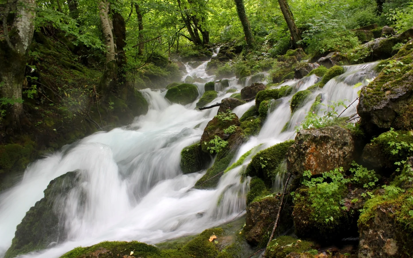 пейзаж, природа, красота
