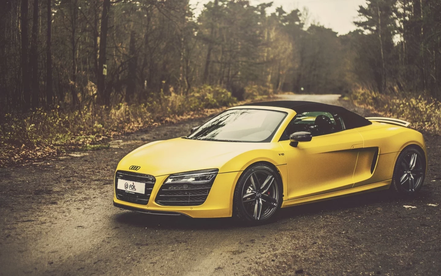 auto, audi spyder