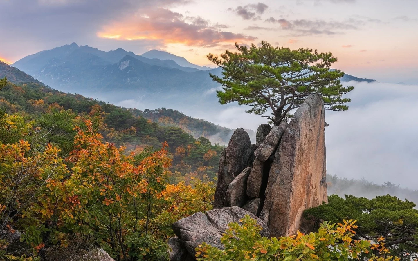 пейзаж, природа, красота