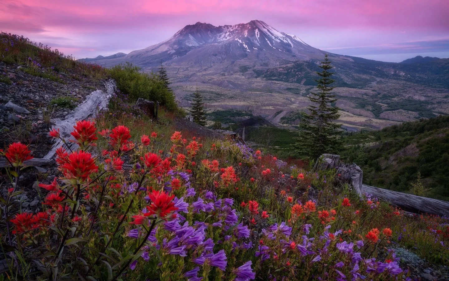 пейзаж, природа, красота