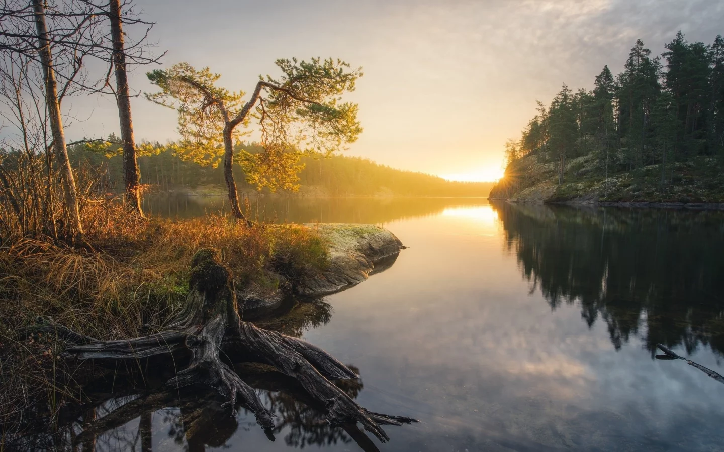 пейзаж, природа, красота