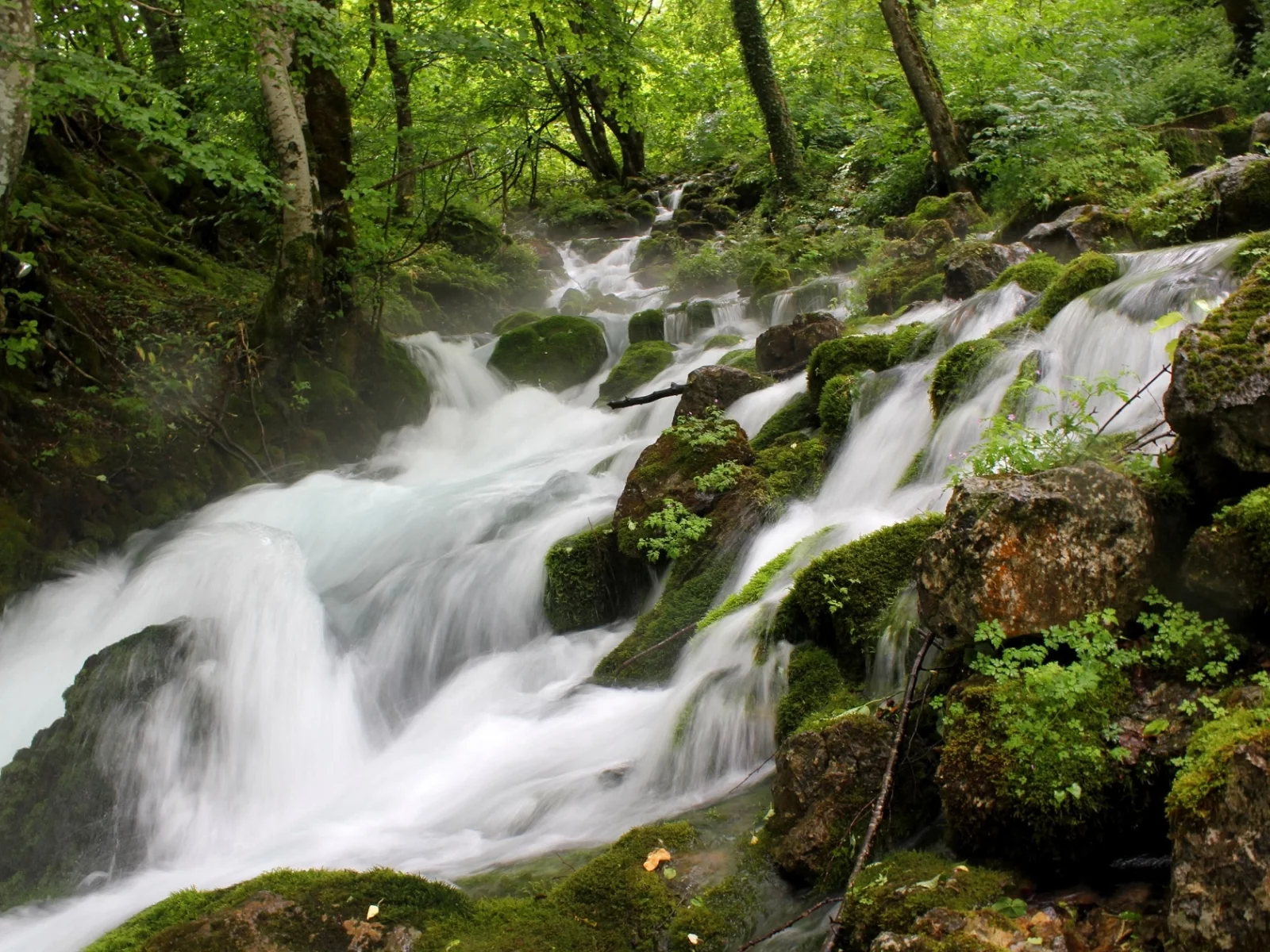 пейзаж, природа, красота