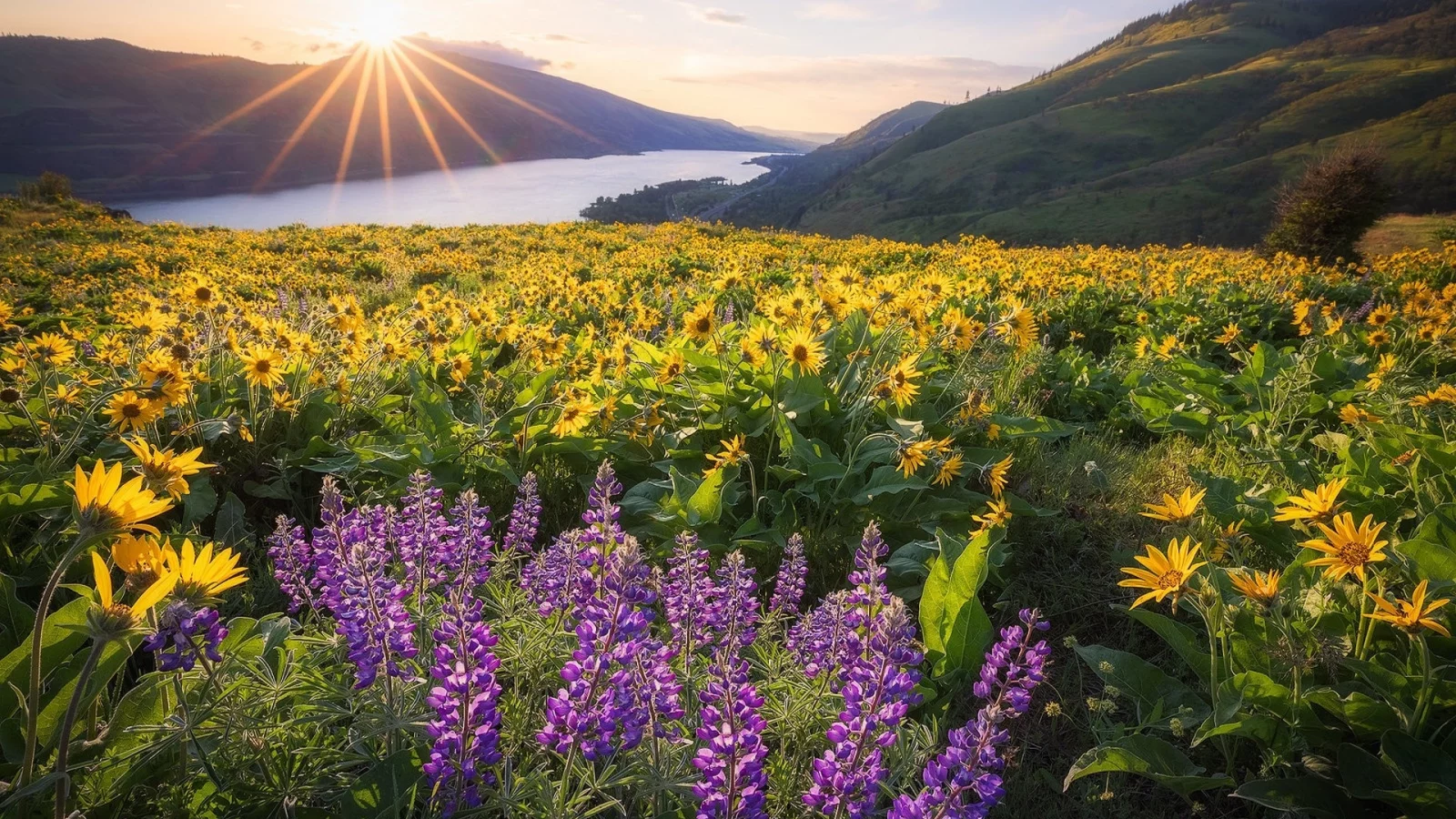пейзаж, природа, красота