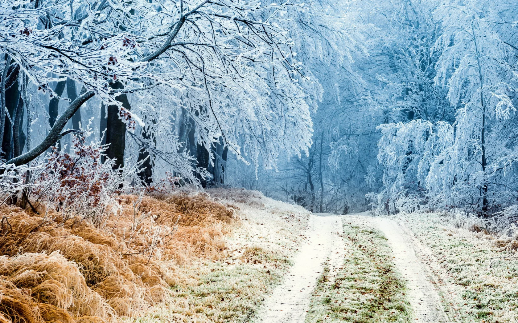 пейзаж, природа, красота