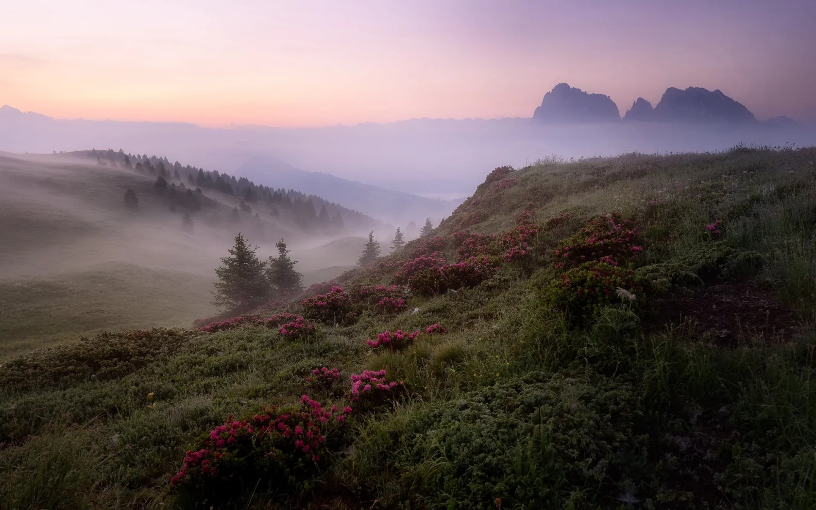 пейзаж, природа, красота