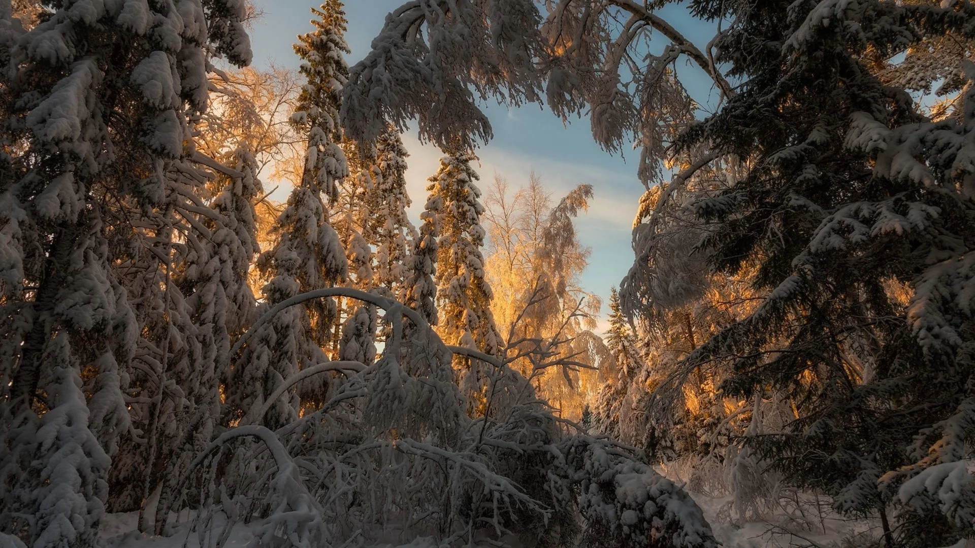 пейзаж, природа, красота