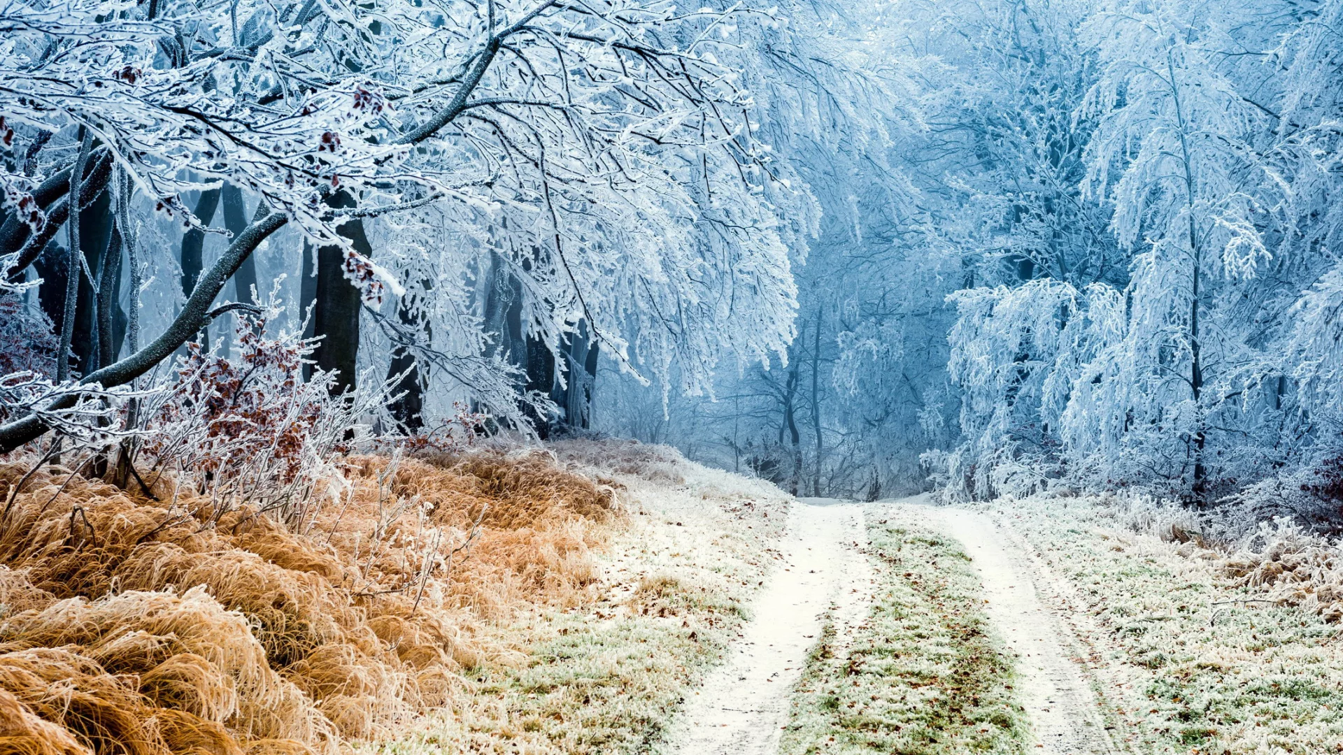 пейзаж, природа, красота