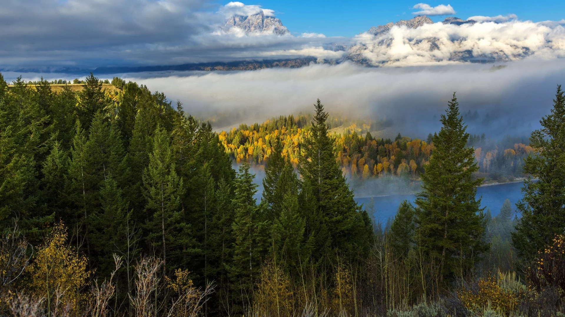 пейзаж, природа, красота