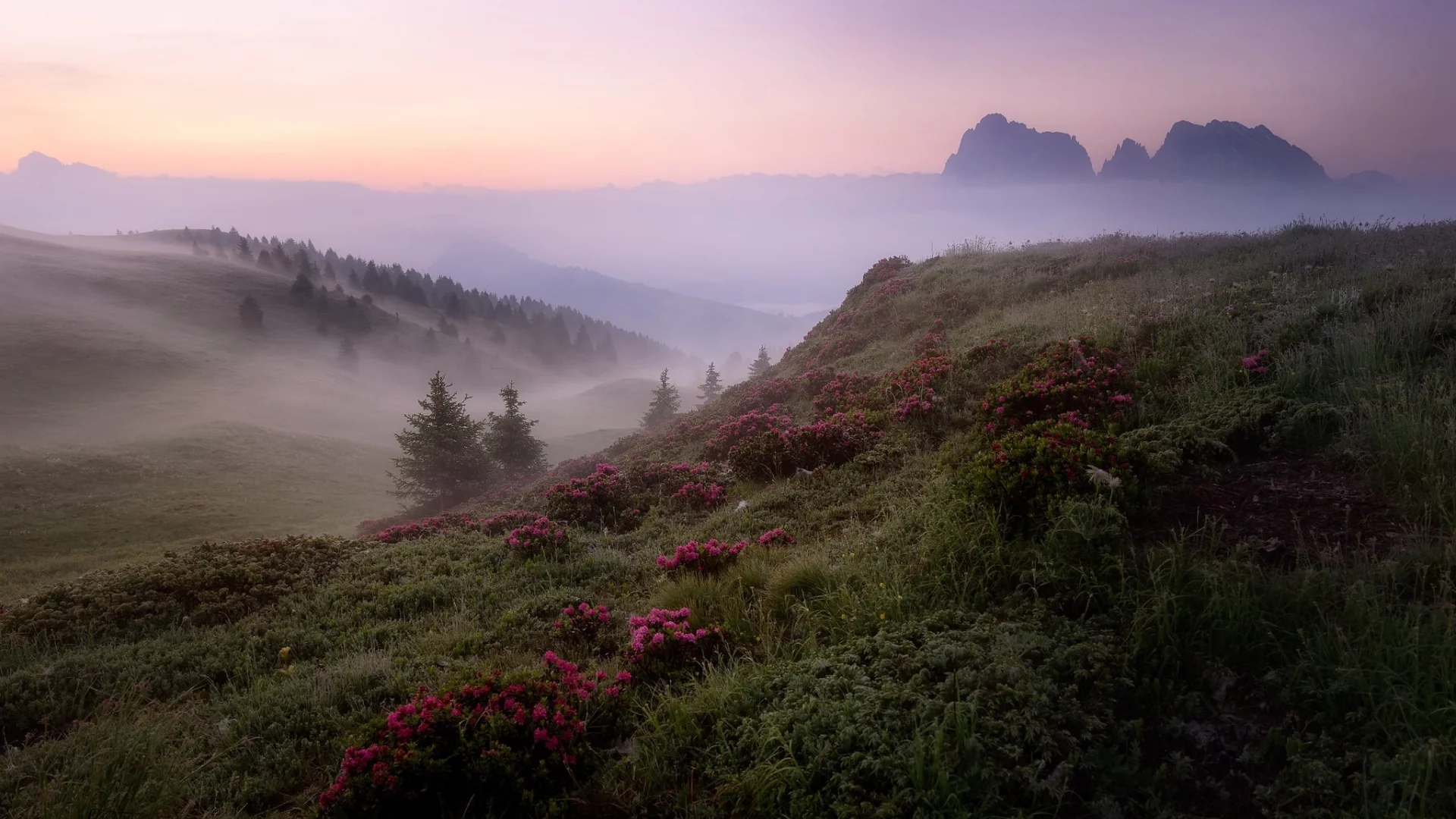 пейзаж, природа, красота
