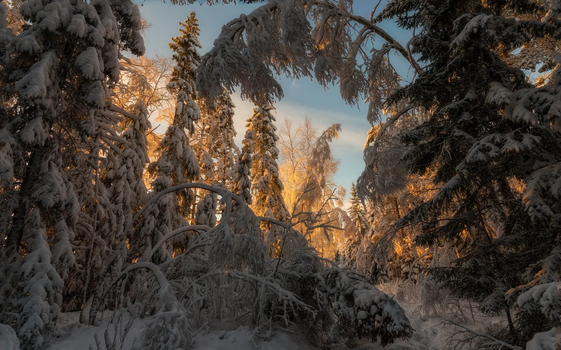 пейзаж, природа, красота