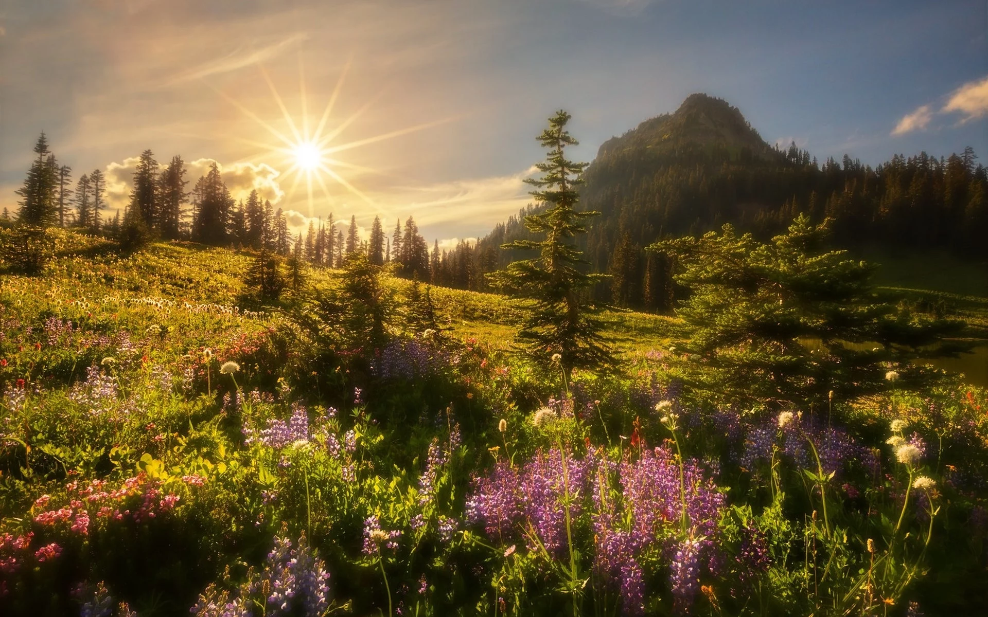 пейзаж, природа, красота