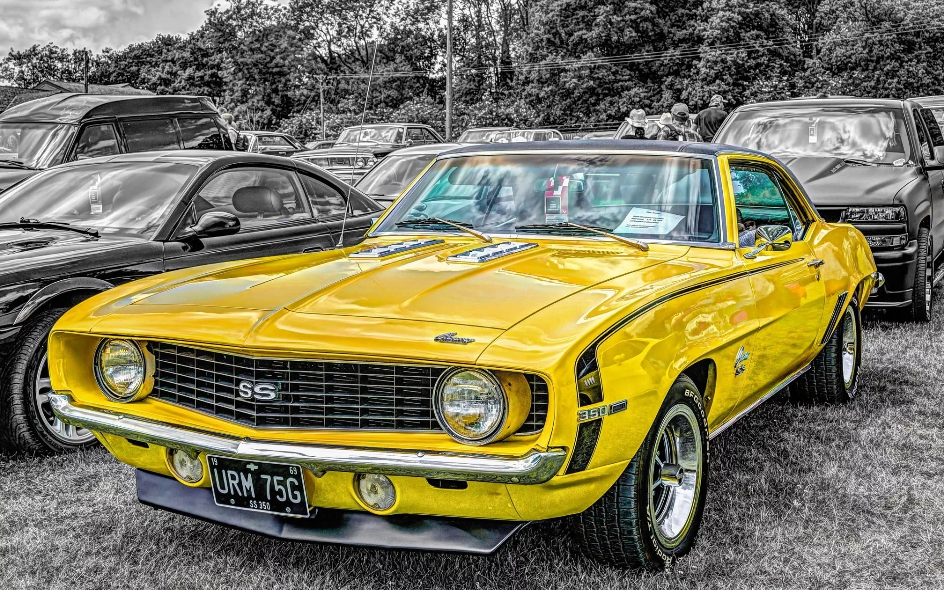 auto, chevrolet camaro