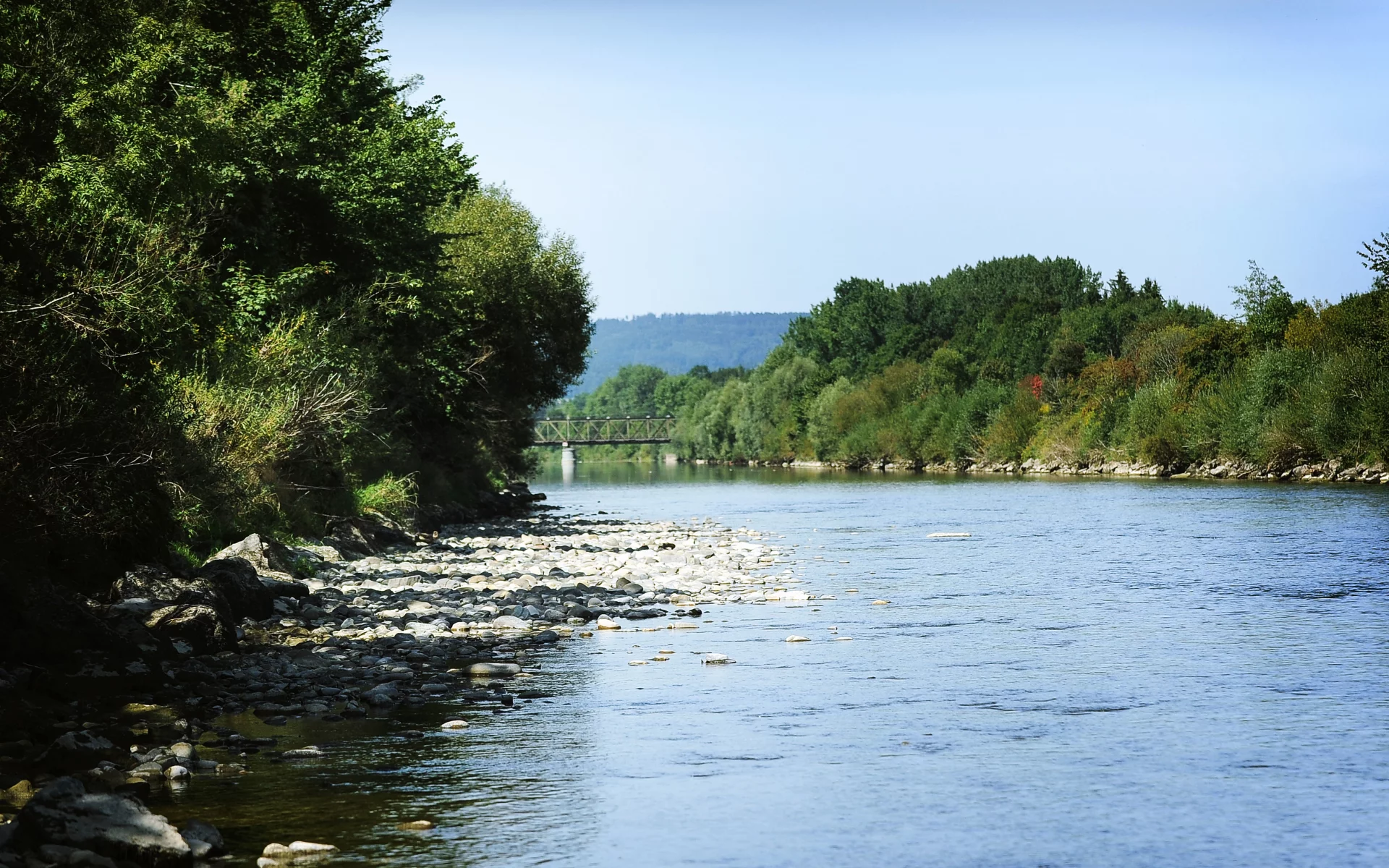 речка, деревья, вода
