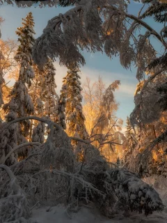пейзаж, природа, красота