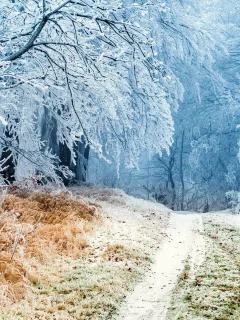 пейзаж, природа, красота