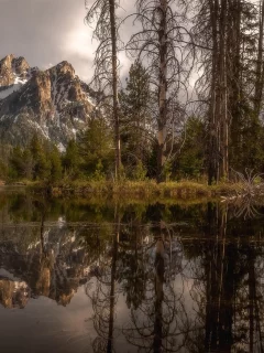 пейзаж, природа, красота