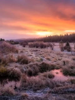 пейзаж, природа, красота