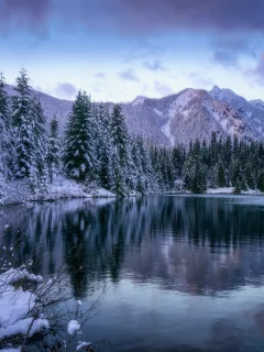 пейзаж, природа, красота