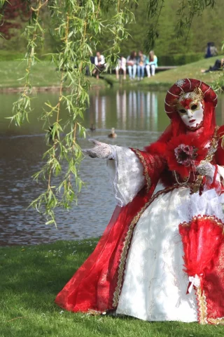 карнавальный костюм, маска, зонт