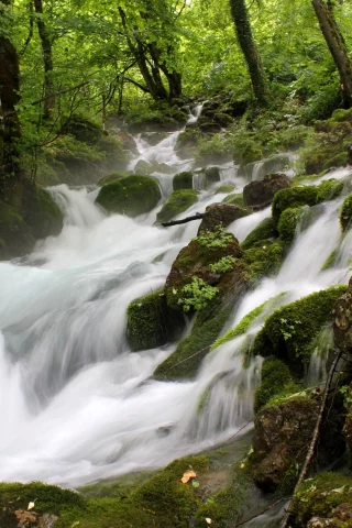 пейзаж, природа, красота