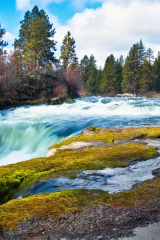 река, водопад, деревья