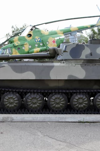 сау, гвоздика