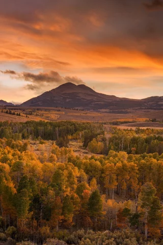 пейзаж, природа, красота