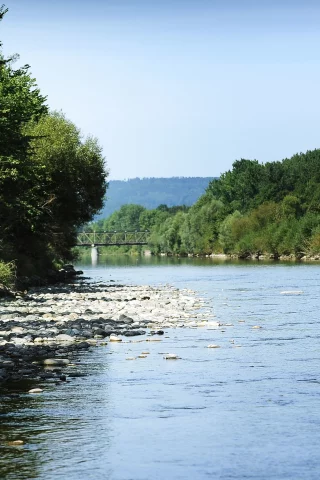 речка, деревья, вода