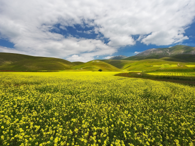 пейзаж, природа, красота