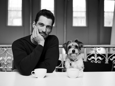 david gandy, взгляд