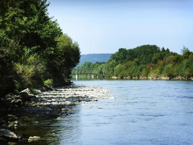 речка, деревья, вода