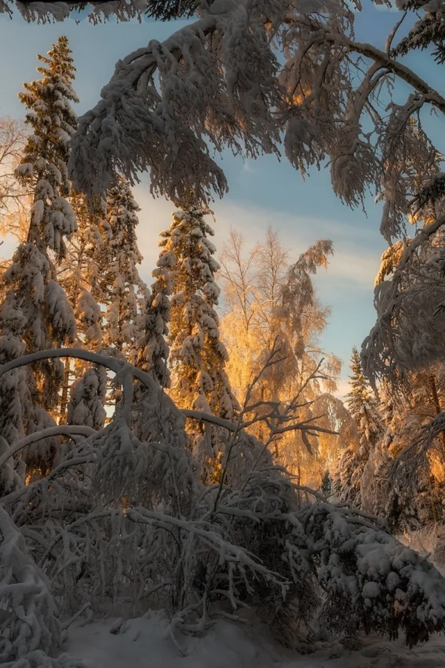 пейзаж, природа, красота