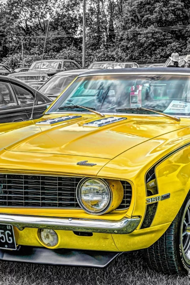 auto, chevrolet camaro