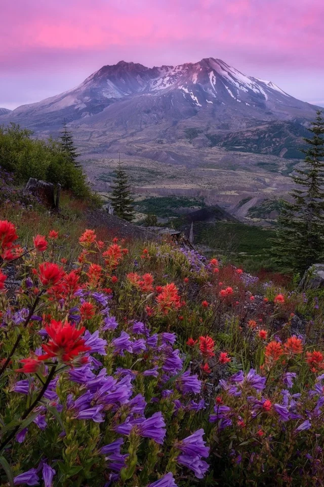 пейзаж, природа, красота