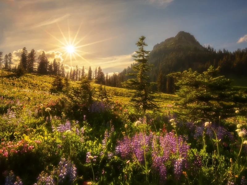 пейзаж, природа, красота