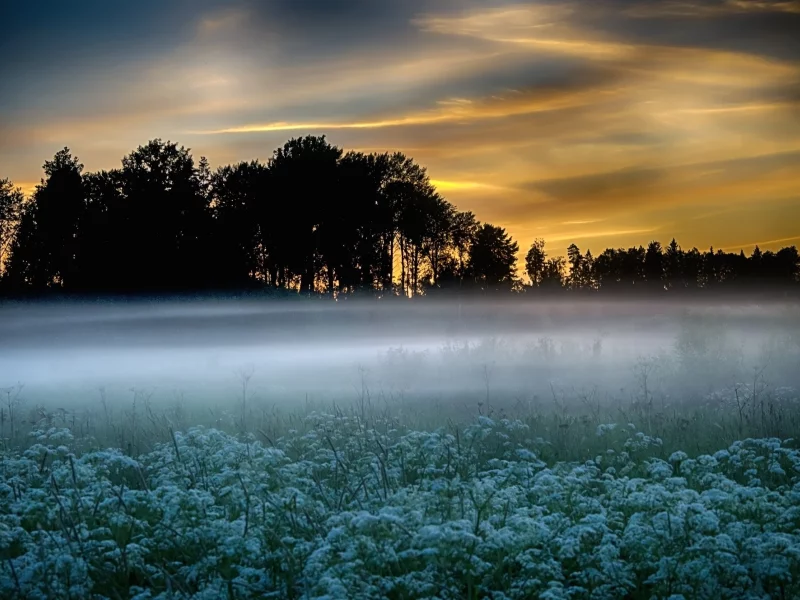 пейзаж, природа, красота
