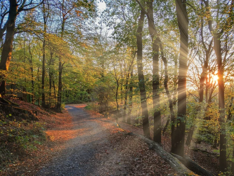 пейзаж, природа, красота