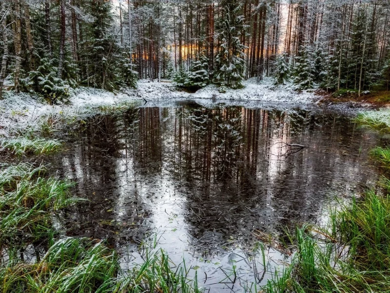 пейзаж, природа, красота