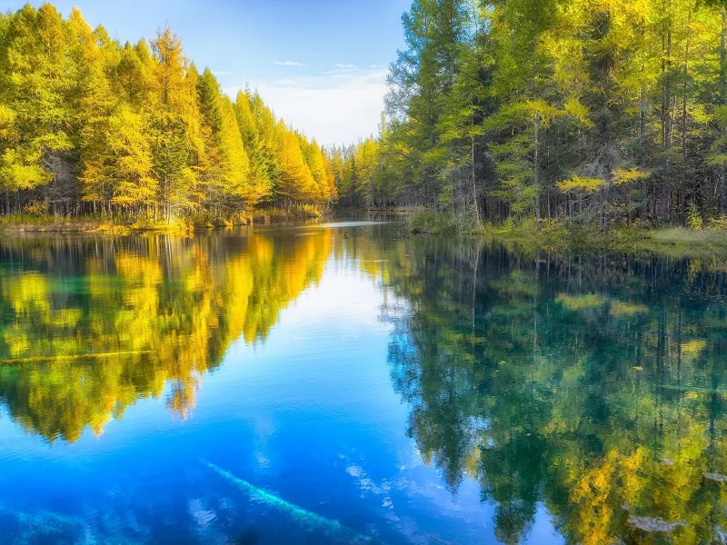 река, лес, осень