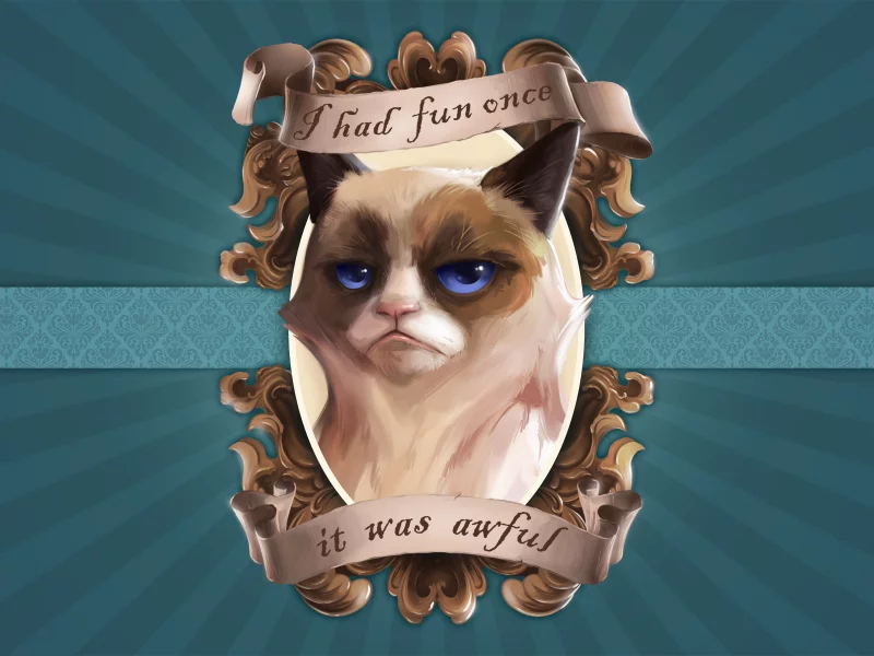 портрет, кот