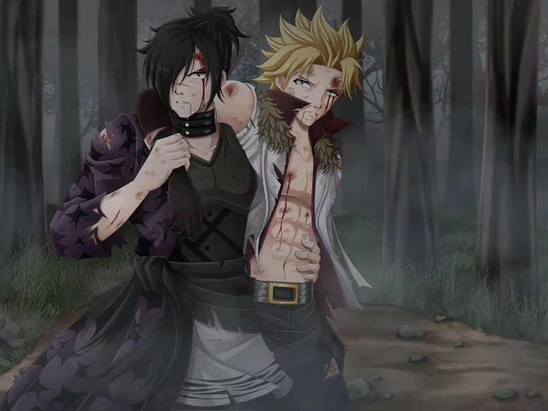 fairy tail, хвост феи