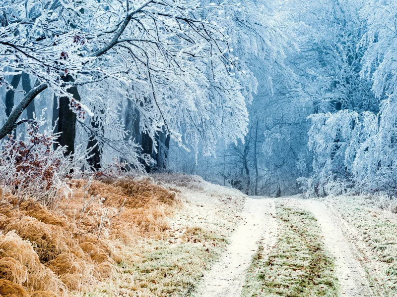 пейзаж, природа, красота
