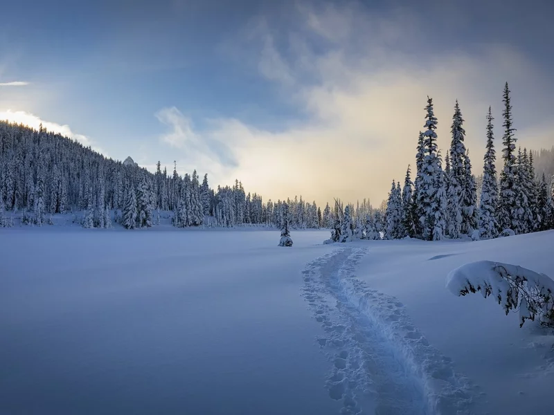 пейзаж, природа, красота